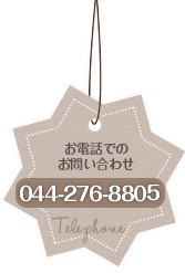 お電話でのお問い合わせ044-276-8805