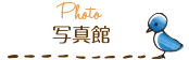 写真館